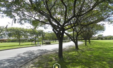 place photo 48