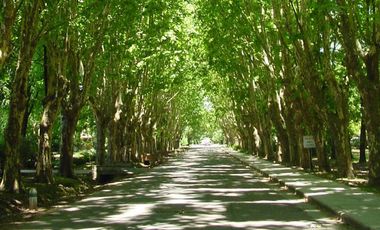 place photo 27