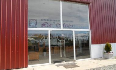 place photo 11