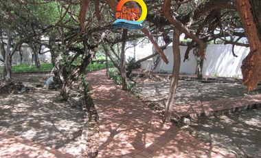 place photo 32
