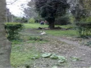 Foto 5 de Guernica: lotes de 16 hectareas