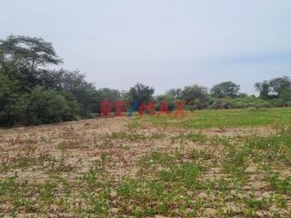 Foto 1 de 🌾 ¡Oportunidad Única para Inversionistas y Agricultores! 🌾

Descubre el potencial de este vasto terreno agrícola situado en el corazón de Pacora, La