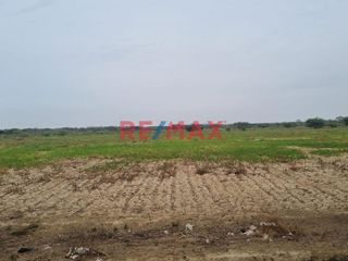 Foto 2 de 🌾 ¡Oportunidad Única para Inversionistas y Agricultores! 🌾

Descubre el potencial de este vasto terreno agrícola situado en el corazón de Pacora, La