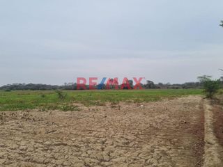 Foto 6 de 🌾 ¡Oportunidad Única para Inversionistas y Agricultores! 🌾

Descubre el potencial de este vasto terreno agrícola situado en el corazón de Pacora, La