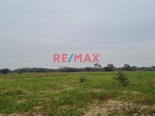 Foto 4 de 🌾 ¡Oportunidad Única para Inversionistas y Agricultores! 🌾

Descubre el potencial de este vasto terreno agrícola situado en el corazón de Pacora, La