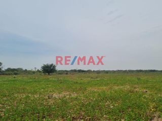 Foto 5 de 🌾 ¡Oportunidad Única para Inversionistas y Agricultores! 🌾

Descubre el potencial de este vasto terreno agrícola situado en el corazón de Pacora, La