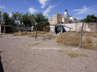 Foto 9 de FERNANDEZ POEPPEL Alquila Playa Estacionamiento 1000 m2 Mendoza