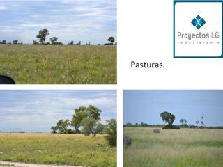 Foto 10 de CAMPO EN VENTA-SANTIAGO DEL ESTERO-5620has- AGRICOLA GANADERO