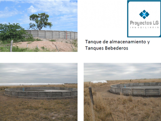 Foto 14 de CAMPO EN VENTA-SANTIAGO DEL ESTERO-5620has- AGRICOLA GANADERO