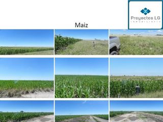 Foto 1 de CAMPO EN VENTA-SANTIAGO DEL ESTERO-5620has- AGRICOLA GANADERO