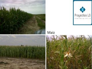 Foto 9 de CAMPO EN VENTA-SANTIAGO DEL ESTERO-5620has- AGRICOLA GANADERO