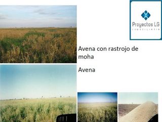 Foto 5 de CAMPO EN VENTA-SANTIAGO DEL ESTERO-5620has- AGRICOLA GANADERO