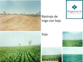 Foto 13 de CAMPO EN VENTA-SANTIAGO DEL ESTERO-5620has- AGRICOLA GANADERO