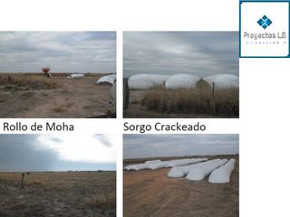 Foto 12 de CAMPO EN VENTA-SANTIAGO DEL ESTERO-5620has- AGRICOLA GANADERO