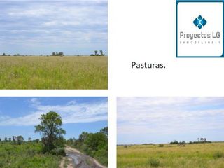 Foto 11 de CAMPO EN VENTA-SANTIAGO DEL ESTERO-5620has- AGRICOLA GANADERO
