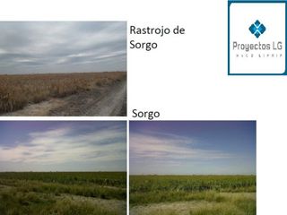 Foto 15 de CAMPO EN VENTA-SANTIAGO DEL ESTERO-5620has- AGRICOLA GANADERO