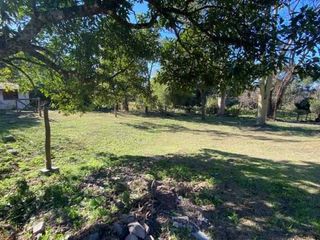 Foto 1 de Terreno en San Lorenzo