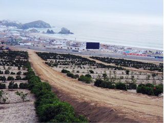 Foto 5 de Terreno en Venta en el Condominio Mar y Bosques