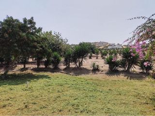 Foto 10 de Terreno en Venta en el Condominio Mar y Bosques