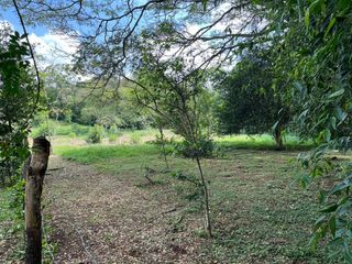 Foto 15 de FINCA CAMPESTRE POTRERITO JAMUNDÍ