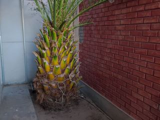 Foto 26 de Casa En Venta La Pampa De Socabaya - Arequipa