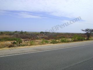 Foto 3 de Terreno de Playa en PEÑA REDONDA 52 Has