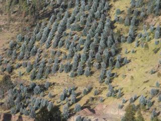 Foto 7 de EN VENTA TERRENO CERCA AEROPUERTO CHINCHERO - CUSCO