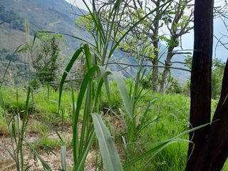 Te vendo esta casa finca bien barata en Barbosa Antioquia.