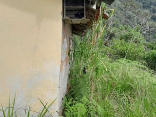 Te vendo esta casa finca bien barata en Barbosa Antioquia.