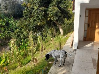 Foto 16 de APARTAMENTO EN RIONEGRO