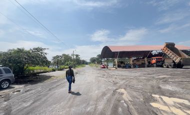 place photo 6