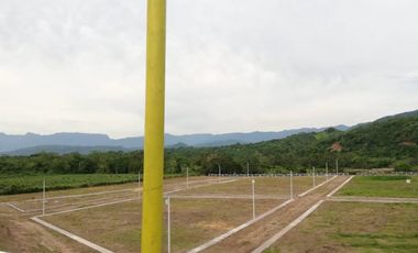 place photo 37