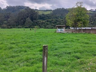 Foto 4 de OPORTUNIDAD SE VENDE ESTUPENDA HACIENDA GANADERA EN SANGOLQUI