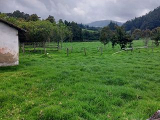 Foto 15 de OPORTUNIDAD SE VENDE ESTUPENDA HACIENDA GANADERA EN SANGOLQUI