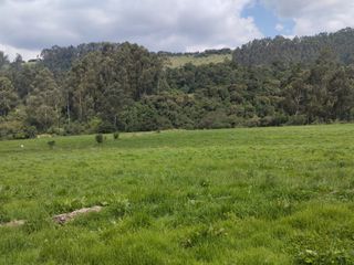 Foto 1 de OPORTUNIDAD SE VENDE ESTUPENDA HACIENDA GANADERA EN SANGOLQUI