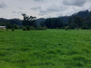 Foto 16 de OPORTUNIDAD SE VENDE ESTUPENDA HACIENDA GANADERA EN SANGOLQUI