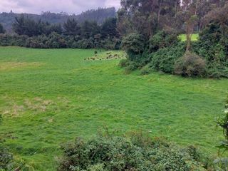 Foto 3 de OPORTUNIDAD SE VENDE ESTUPENDA HACIENDA GANADERA EN SANGOLQUI
