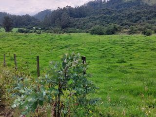 Foto 19 de OPORTUNIDAD SE VENDE ESTUPENDA HACIENDA GANADERA EN SANGOLQUI