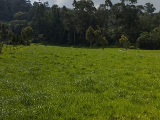 Foto 13 de OPORTUNIDAD SE VENDE ESTUPENDA HACIENDA GANADERA EN SANGOLQUI