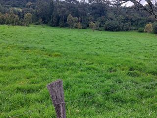 Foto 5 de OPORTUNIDAD SE VENDE ESTUPENDA HACIENDA GANADERA EN SANGOLQUI