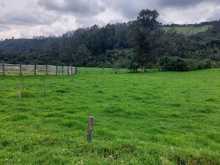 Foto 17 de OPORTUNIDAD SE VENDE ESTUPENDA HACIENDA GANADERA EN SANGOLQUI