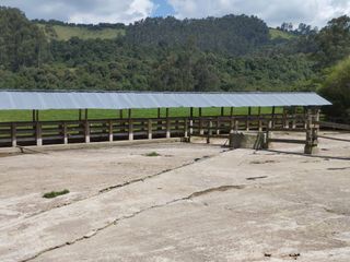Foto 11 de OPORTUNIDAD SE VENDE ESTUPENDA HACIENDA GANADERA EN SANGOLQUI