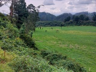 Foto 14 de OPORTUNIDAD SE VENDE ESTUPENDA HACIENDA GANADERA EN SANGOLQUI