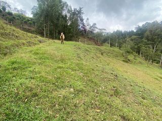 Venta de lotes planos en el Retiro-Antioquia, vereda lejos de el Nido