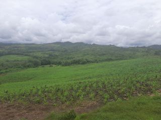 Venta De 5 Hectareas De Terreno Rural En Tarapoto.C.Melendres