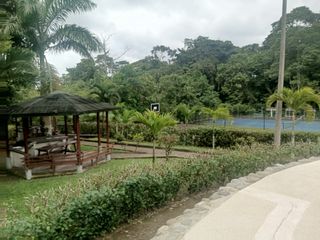 Foto 1 de En Venta Terreno En Quinta Providenza, a 5 minutos de Pedro Vicente Maldonado
