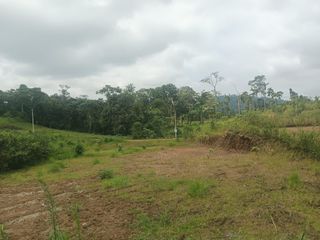 Foto 11 de En Venta Terreno En Quinta Providenza, a 5 minutos de Pedro Vicente Maldonado