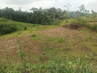 Foto 13 de En Venta Terreno En Quinta Providenza, a 5 minutos de Pedro Vicente Maldonado
