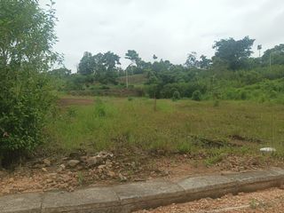 Foto 12 de En Venta Terreno En Quinta Providenza, a 5 minutos de Pedro Vicente Maldonado
