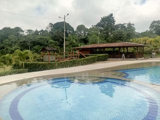 Foto 5 de En Venta Terreno En Quinta Providenza, a 5 minutos de Pedro Vicente Maldonado